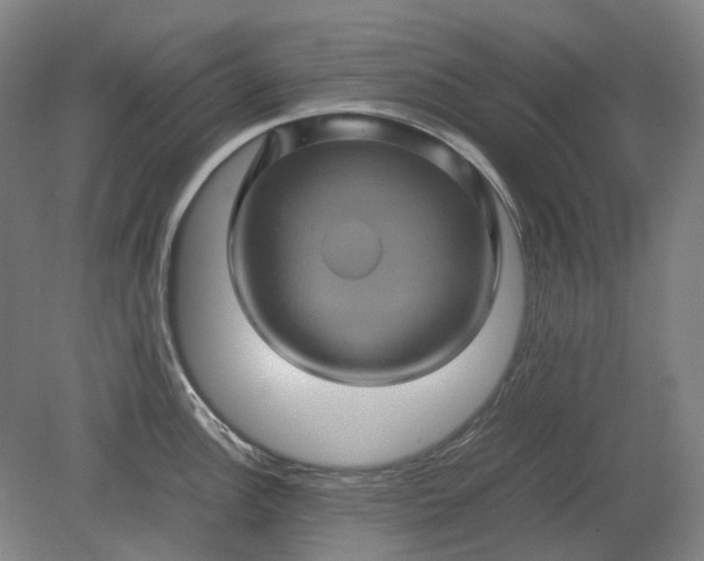 X0000079281148200612011651