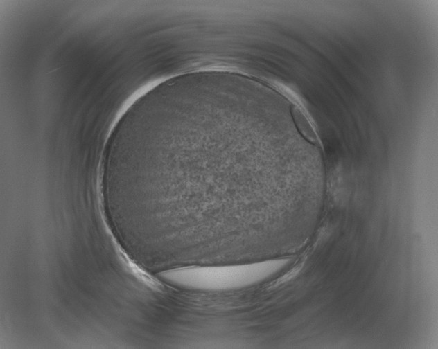 X0000079281149200612011651