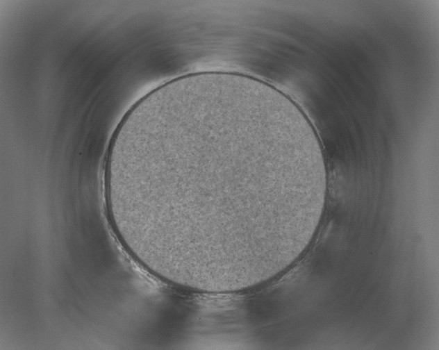 X0000079281150200612011651