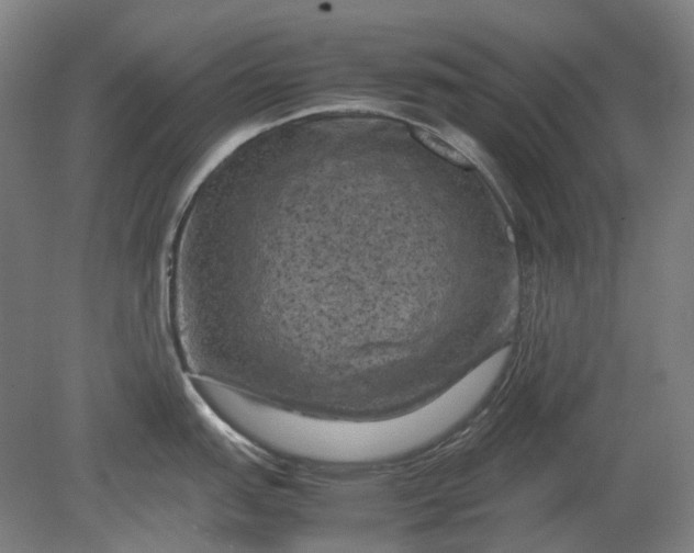 X0000079281151200612011651