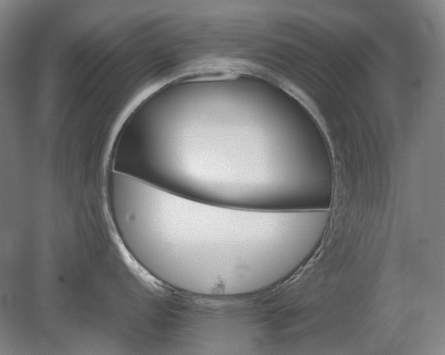 X0000079281152200612011651