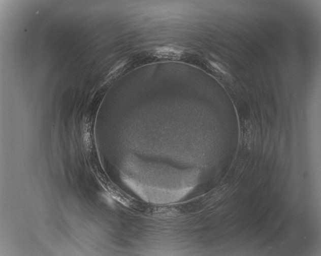 X0000079281154200612011651