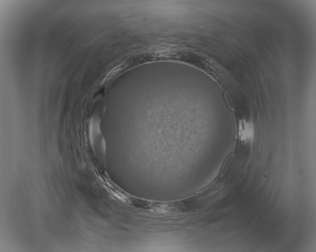 X0000079281155200612011651