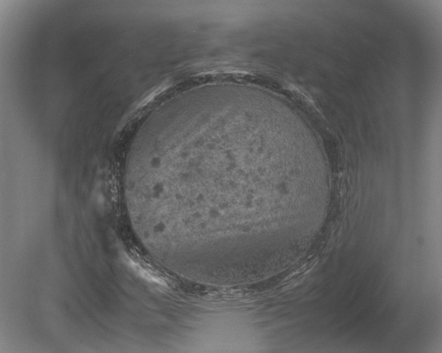 X0000079281159200612011651