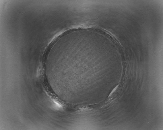 X0000079281160200612011651