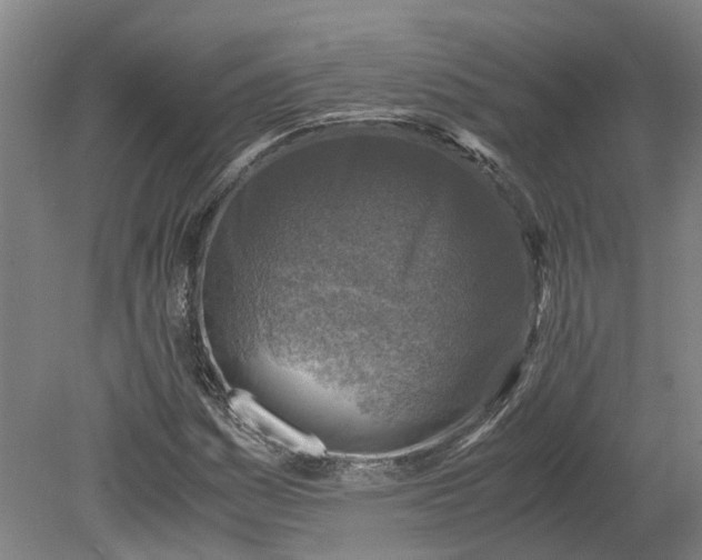 X0000079281161200612011651