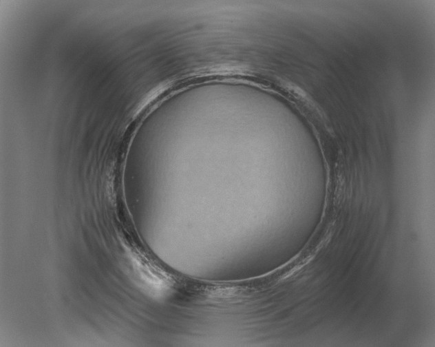 X0000079281162200612011650