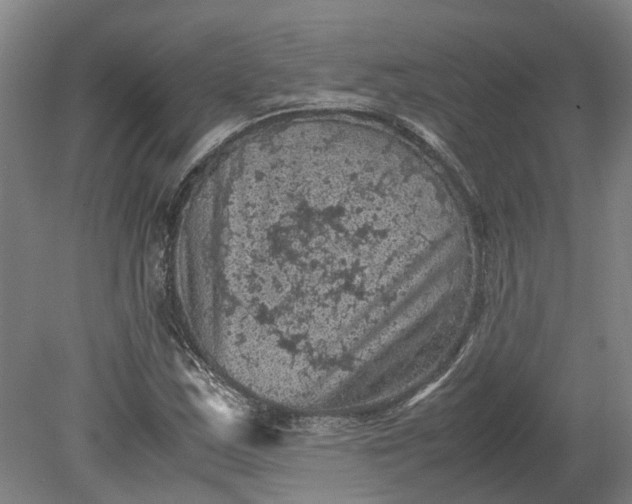 X0000079281163200612011650