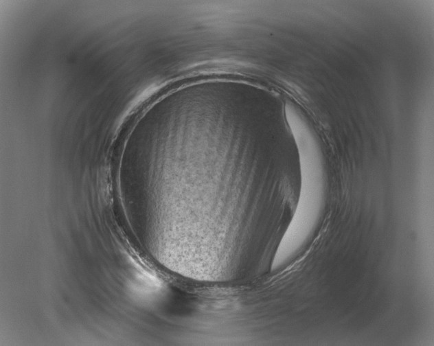 X0000079281164200612011650