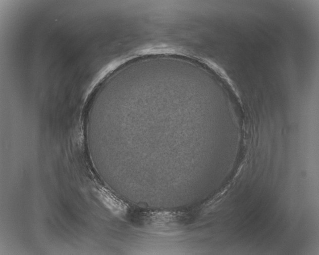 X0000079281167200612011650