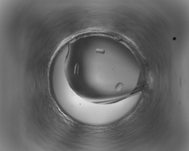 X0000079281168200612011650