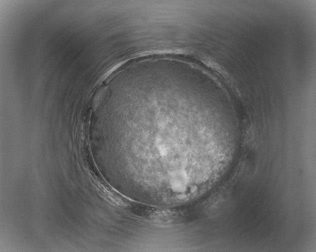 X0000079281169200612011650