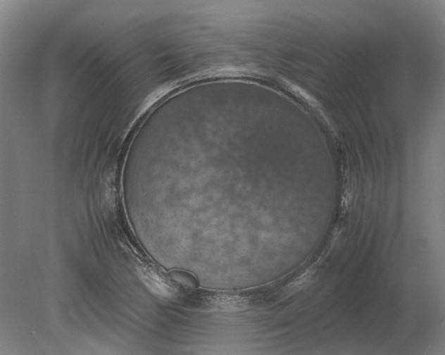 X0000079281170200612011650