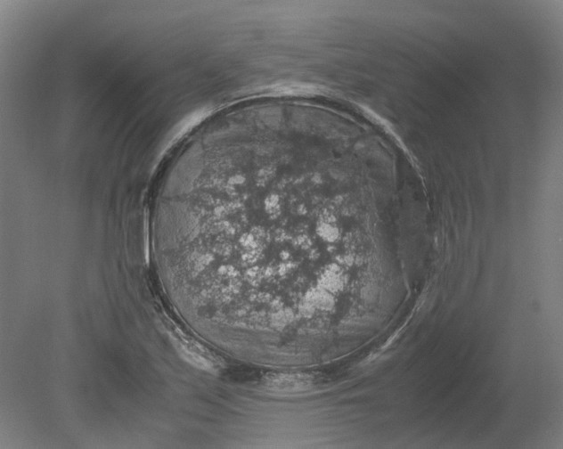 X0000079281171200612011650