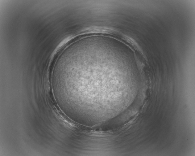 X0000079281172200612011650