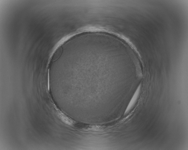 X0000079281175200612011650