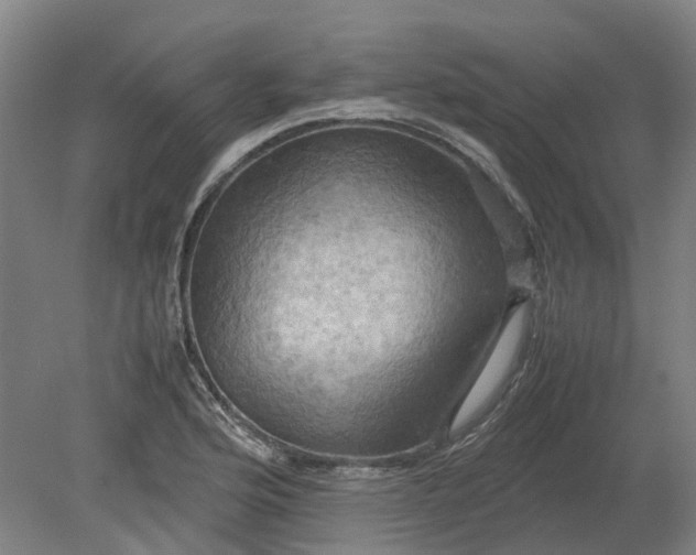 X0000079281176200612011650