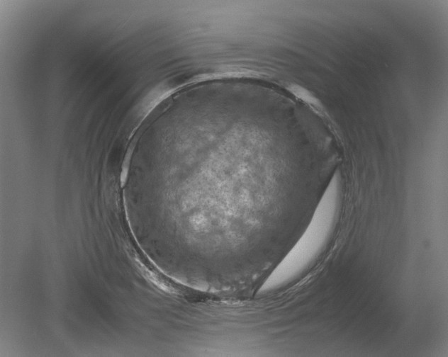 X0000079281177200612011650