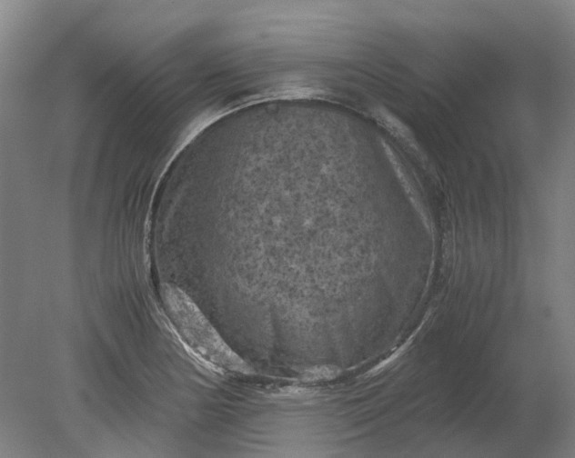 X0000079281178200612011650