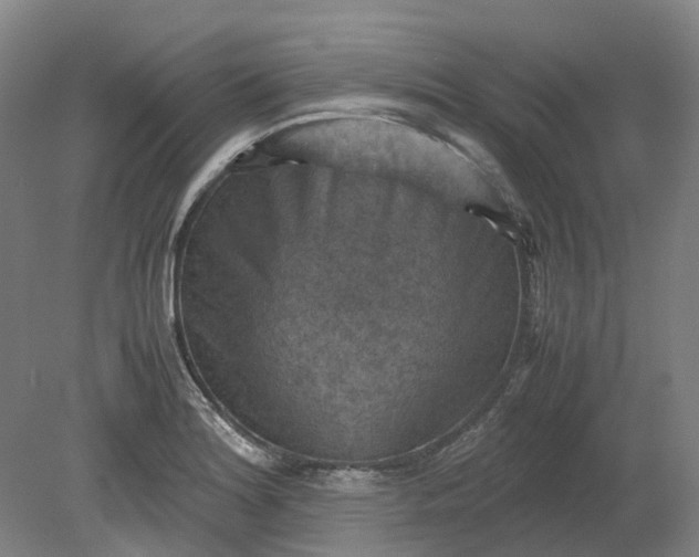 X0000079281180200612011650