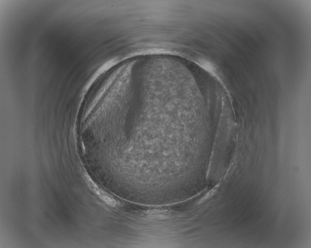 X0000079281181200612011650