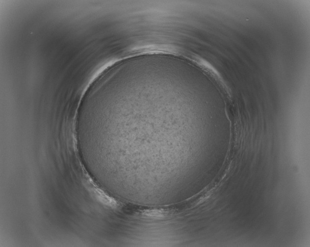 X0000079281182200612011650