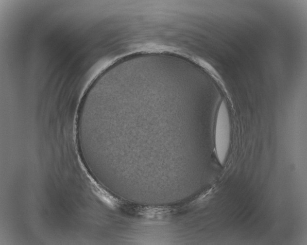 X0000079281183200612011650