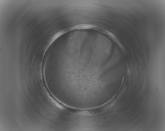 X0000079281186200612011650