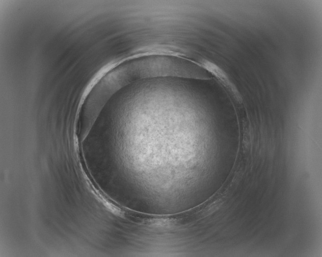 X0000079281188200612011650