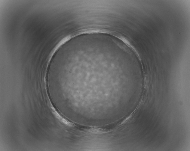 X0000079281189200612011650