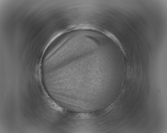 X0000079281190200612011650