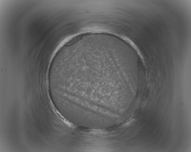 X0000079281191200612011650