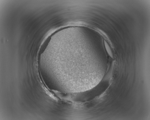 X0000079281192200612011650