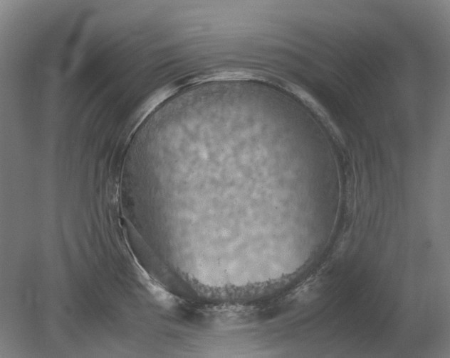 X0000079281193200612011650