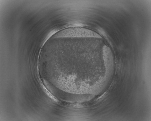 X0000079281194200612011650