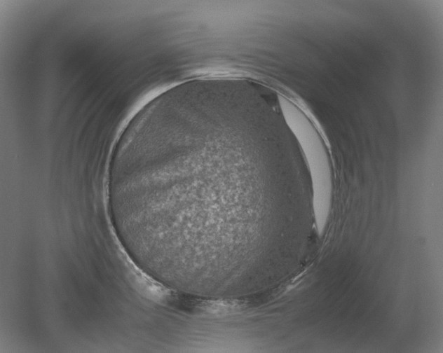 X0000079281195200612011650