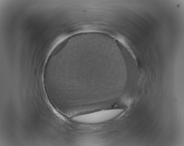 X0000079281197200612011650