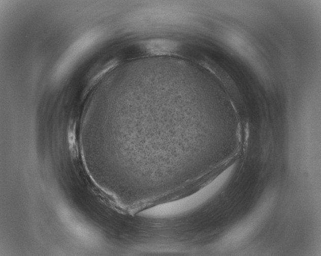 X0000079281198200612011650