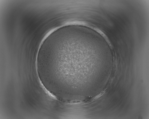 X0000079281199200612011650