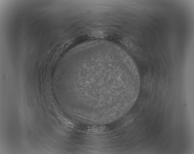 X0000079281201200612011649