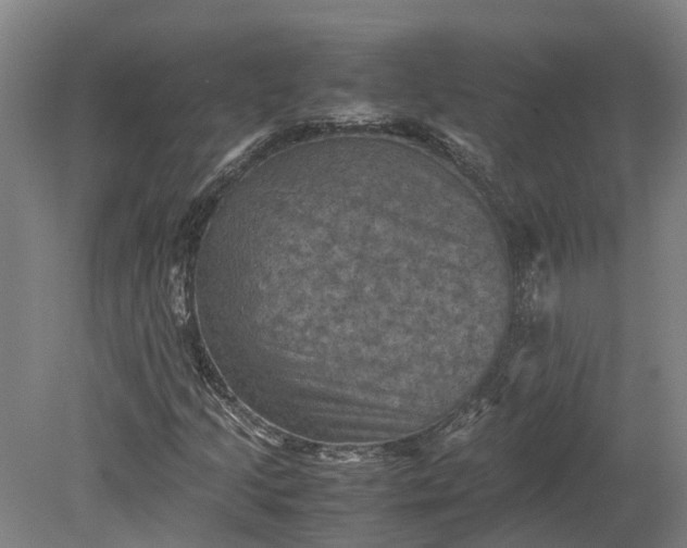 X0000079281205200612011649