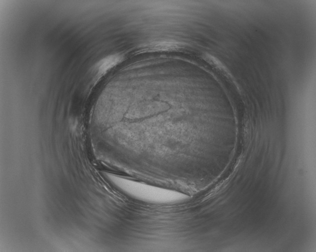 X0000079281210200612011649