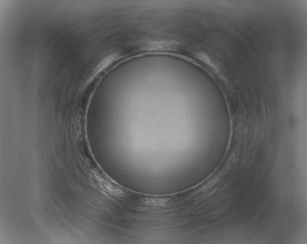 X0000079281211200612011649