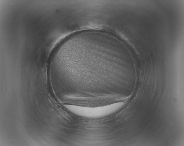X0000079281214200612011649