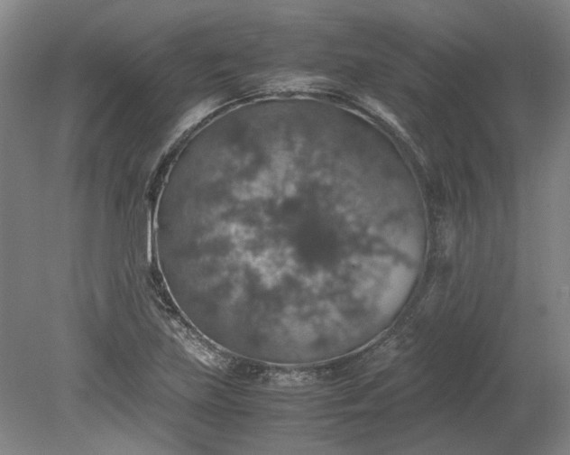 X0000079281219200612011649