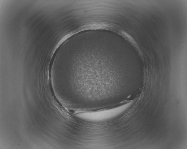 X0000079281226200612011649