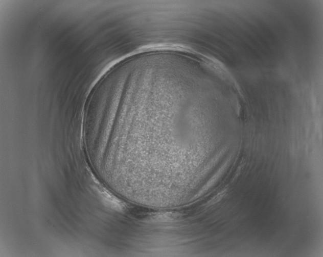 X0000079281228200612011650