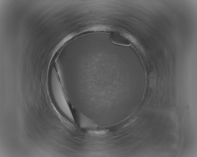 X0000079281229200612011650