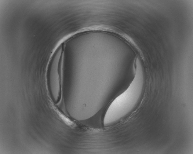 X0000079281230200612011650