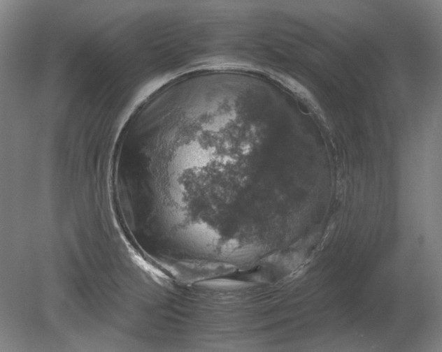 X0000079281231200612011650